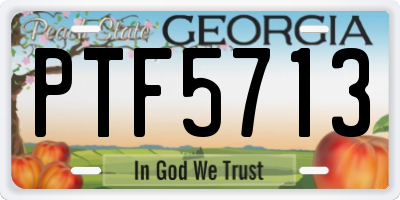 GA license plate PTF5713
