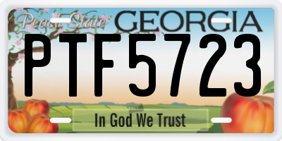 GA license plate PTF5723
