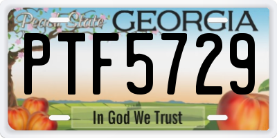 GA license plate PTF5729