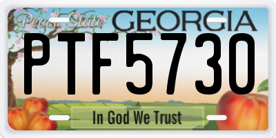 GA license plate PTF5730