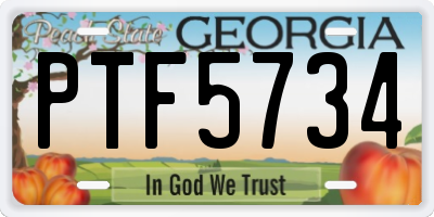GA license plate PTF5734