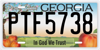 GA license plate PTF5738