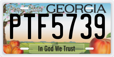 GA license plate PTF5739