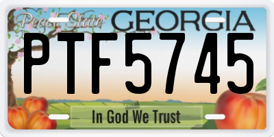 GA license plate PTF5745