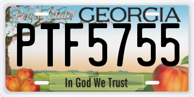 GA license plate PTF5755