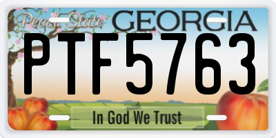 GA license plate PTF5763
