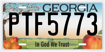 GA license plate PTF5773