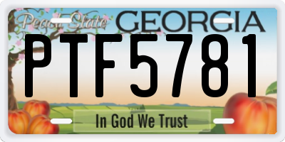GA license plate PTF5781