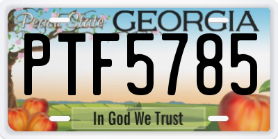 GA license plate PTF5785