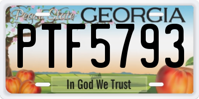 GA license plate PTF5793