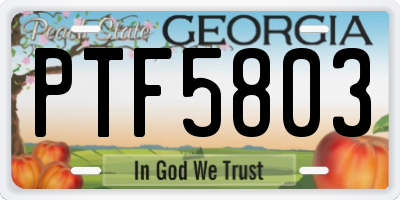 GA license plate PTF5803