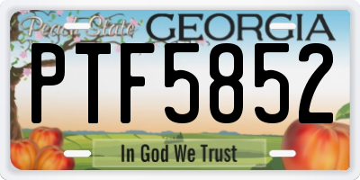 GA license plate PTF5852