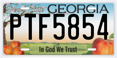 GA license plate PTF5854