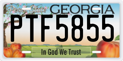 GA license plate PTF5855