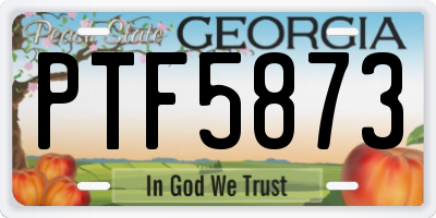 GA license plate PTF5873