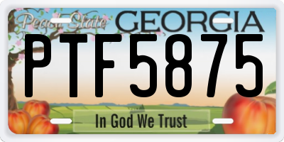 GA license plate PTF5875