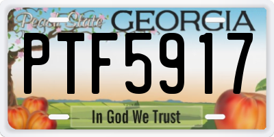 GA license plate PTF5917