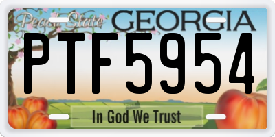 GA license plate PTF5954
