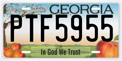 GA license plate PTF5955