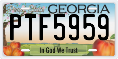 GA license plate PTF5959