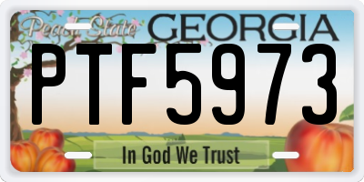 GA license plate PTF5973