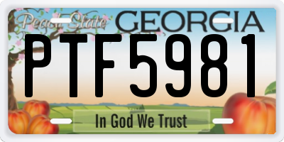 GA license plate PTF5981