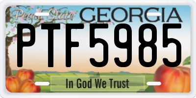 GA license plate PTF5985