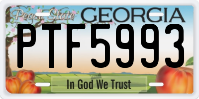 GA license plate PTF5993
