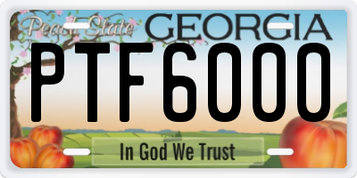 GA license plate PTF6000