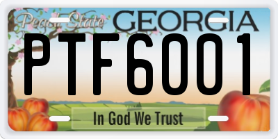 GA license plate PTF6001