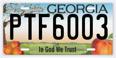 GA license plate PTF6003
