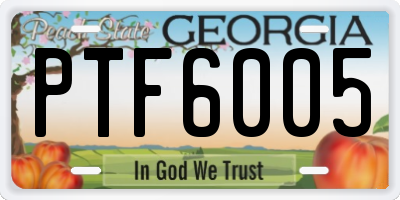 GA license plate PTF6005