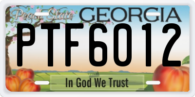 GA license plate PTF6012
