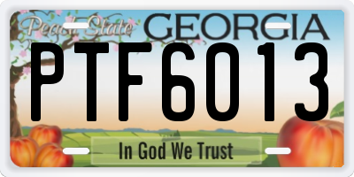 GA license plate PTF6013
