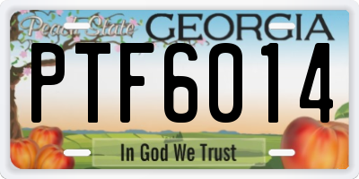 GA license plate PTF6014