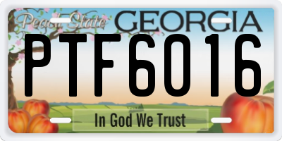 GA license plate PTF6016