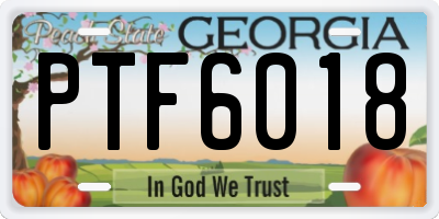 GA license plate PTF6018