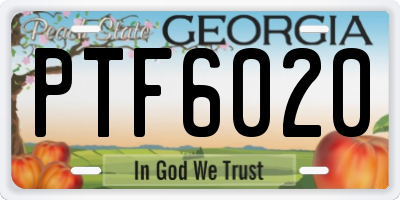 GA license plate PTF6020