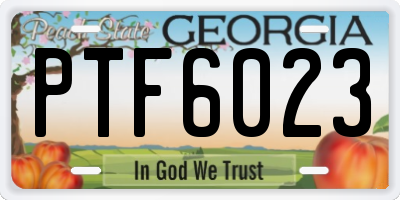 GA license plate PTF6023