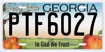 GA license plate PTF6027