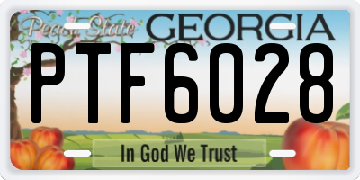 GA license plate PTF6028