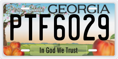 GA license plate PTF6029
