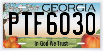 GA license plate PTF6030