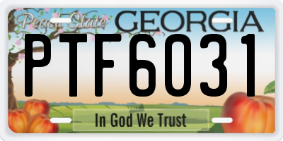GA license plate PTF6031
