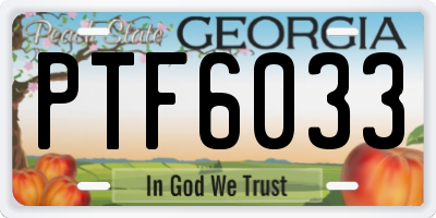 GA license plate PTF6033