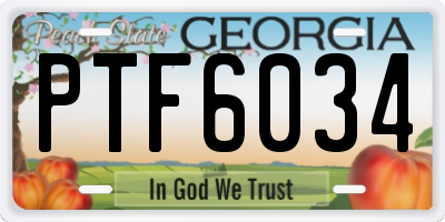 GA license plate PTF6034