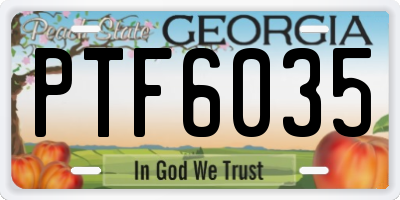 GA license plate PTF6035