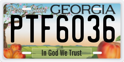 GA license plate PTF6036