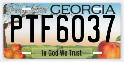 GA license plate PTF6037