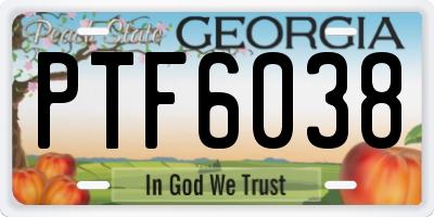 GA license plate PTF6038
